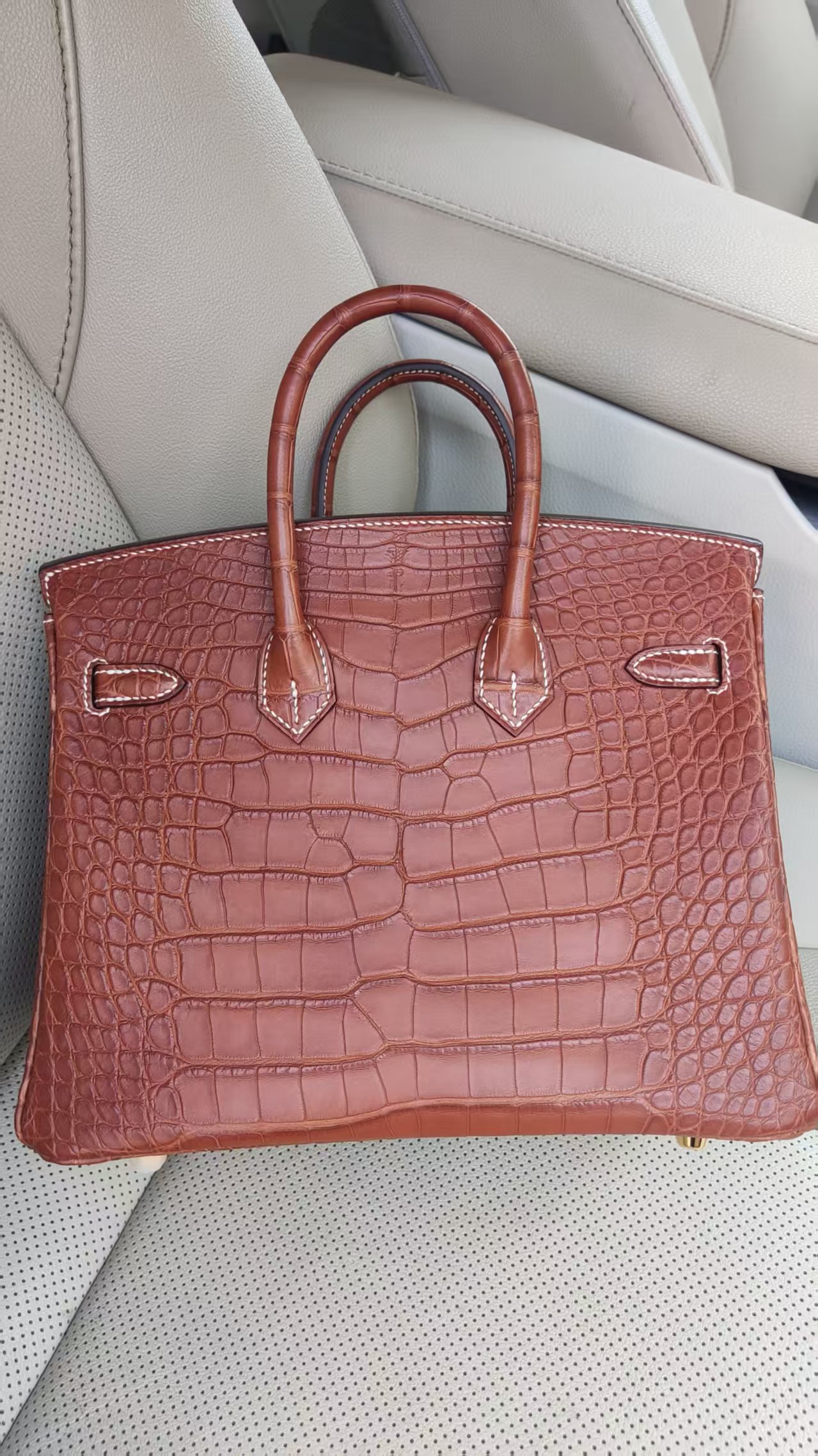 Fauve alligator BK25 GHW 2